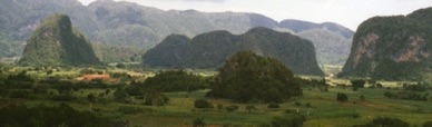 CUBA : Vallée de Vinales
(1999)